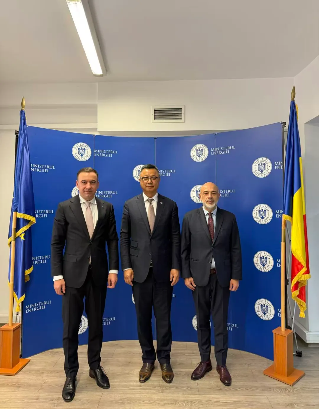 潘锋与罗马尼亚能源部部长Bogdan Ivan举行工作座谈 